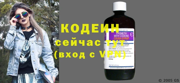 индика Каменногорск