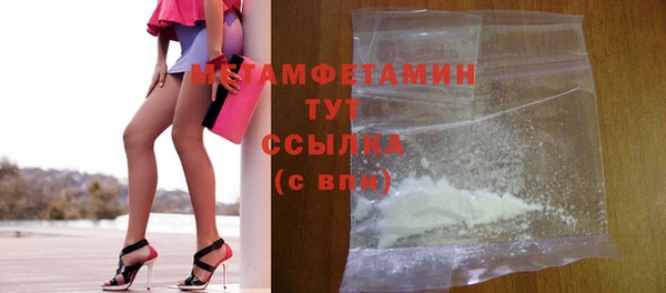 индика Каменногорск