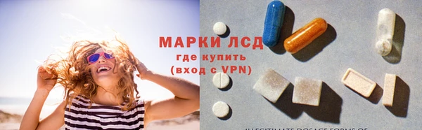 индика Каменногорск