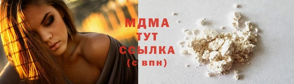 индика Каменногорск