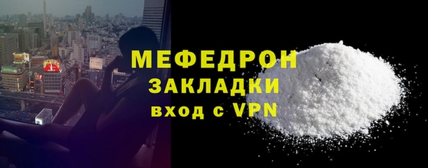 индика Каменногорск