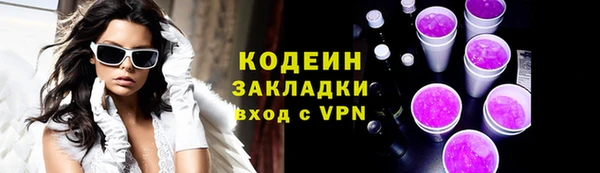 индика Каменногорск