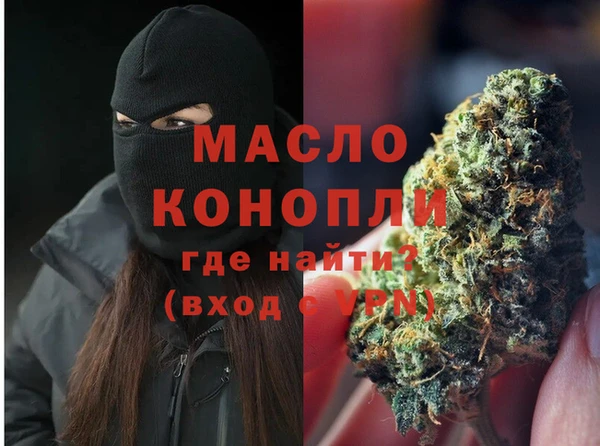 индика Каменногорск