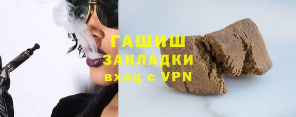 индика Каменногорск