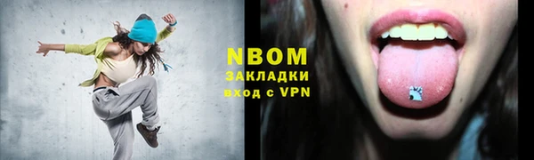 индика Каменногорск