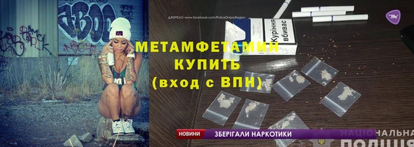 индика Каменногорск
