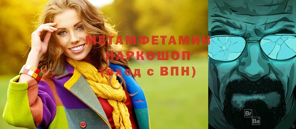 индика Каменногорск