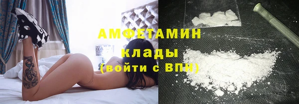 индика Каменногорск