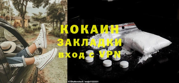 индика Каменногорск